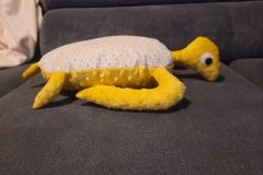 20210104_160246-scaled